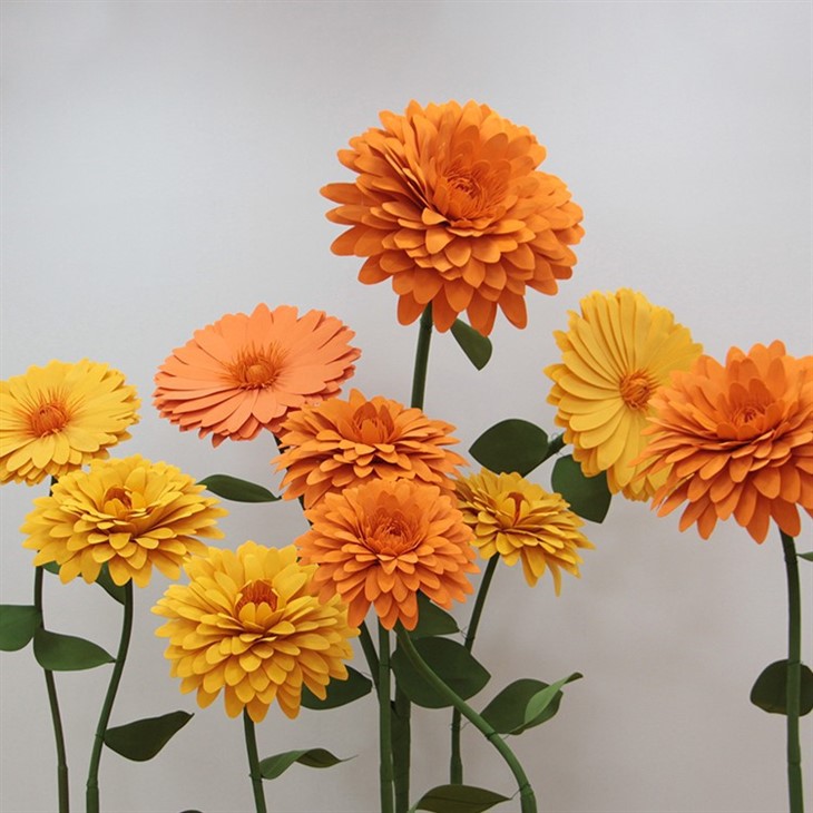 Mous flè marigold