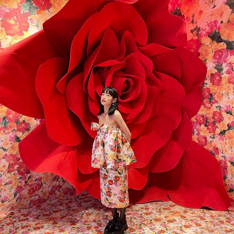 Giant Rose background akseswar